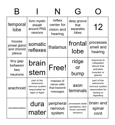 The Nervous System Bingo Card