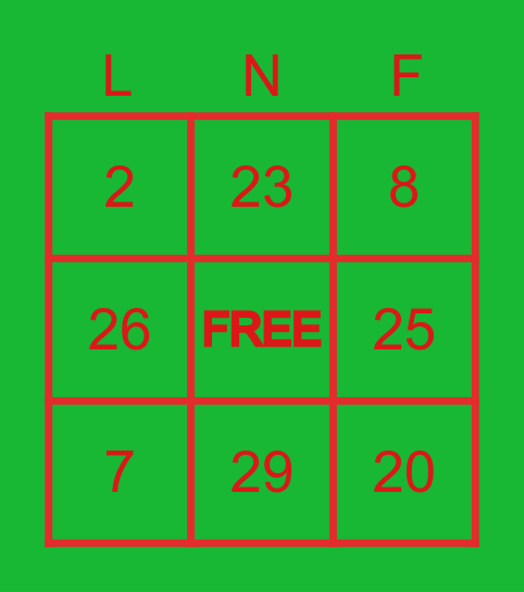 Lucky Numbers Flyer Bingo Card
