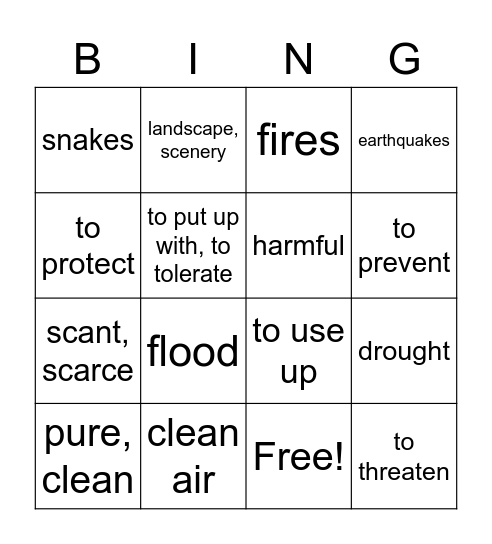 Imagina: Lección 5 Vacaciones Bingo Card