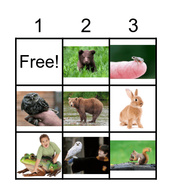 Animals Bingo Card