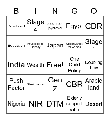 Unit 4 Population Bingo Card