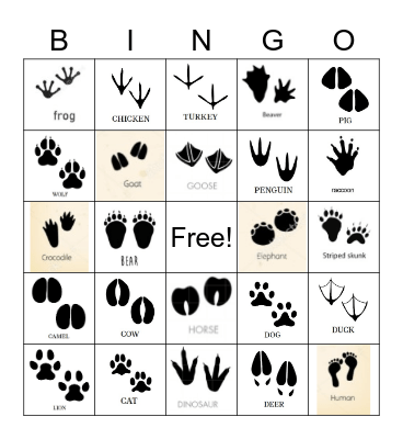 Animal Tracks Bingo Card