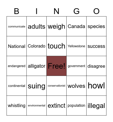 4th Wolf Watch Bingo Card