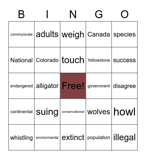 4th Wolf Watch Bingo Card