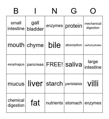 Digestive System Bingo Card