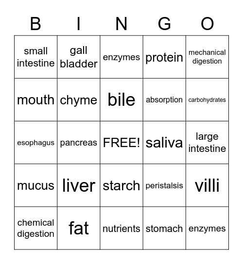 Digestive System Bingo Card