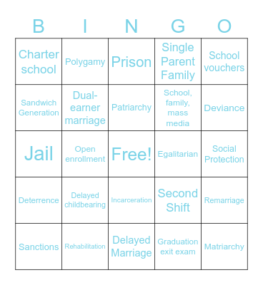 Unit 3 & 4 Sociology Bingo Card