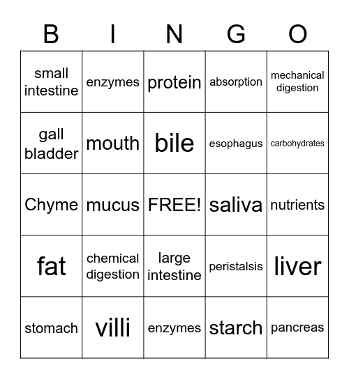 Digestive System Bingo Card