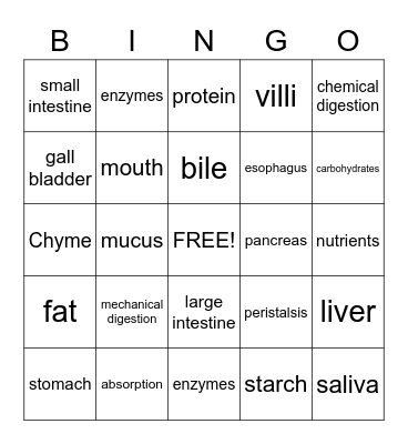 Digestive System Bingo Card