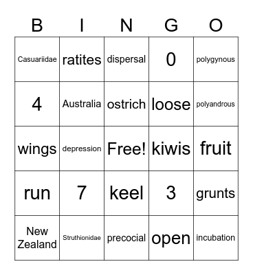Casuariidae Bingo Card