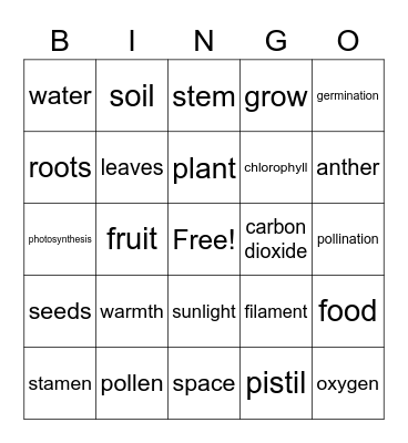 Growth and Changes in Plants Bingo Card