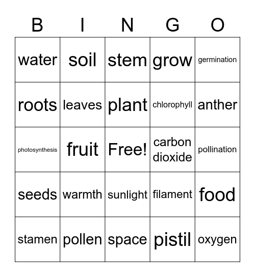 Growth and Changes in Plants Bingo Card
