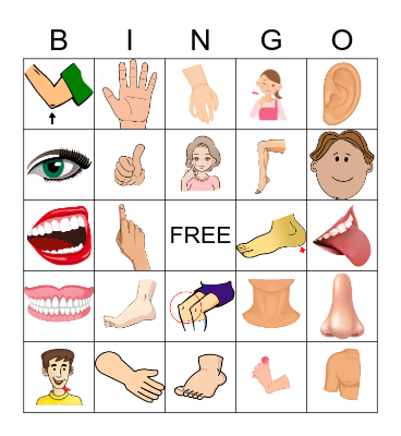 BODY PARTS Bingo Card