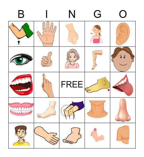 BODY PARTS Bingo Card