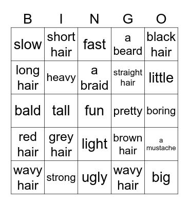 Physical Descriptions Bingo Card