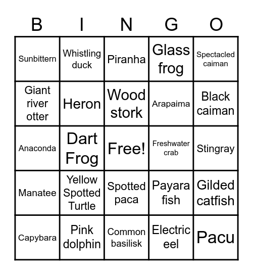 Water Creature of the Amazon Rainforest Bingo Card
