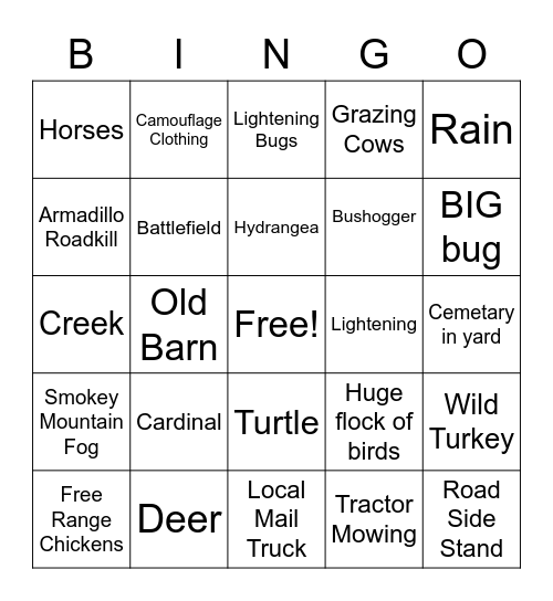 George Family Car Bingo Card