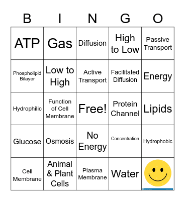 CELL TRANSPORT REVIEW     BINGO Card