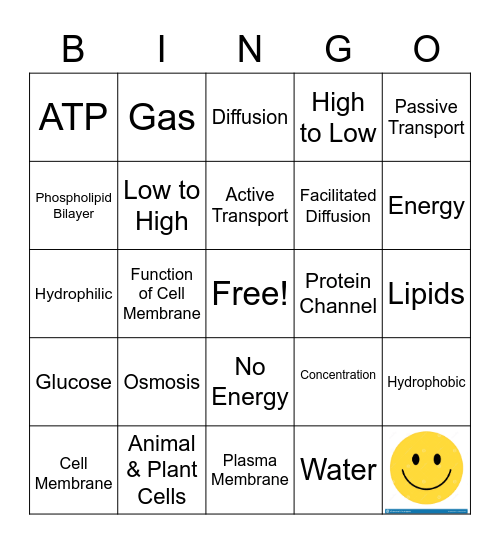 CELL TRANSPORT REVIEW     BINGO Card