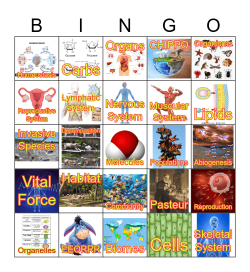 Properties/Organization of Life Bingo Card