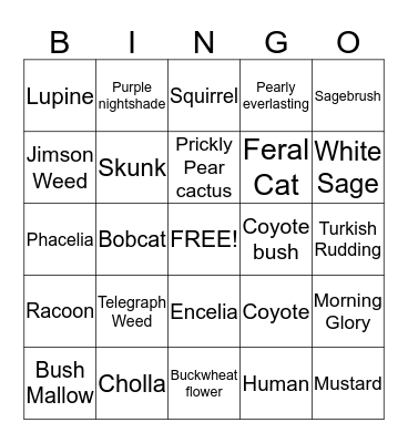 Crystal Cove Transect Plants and Animals Bingo Card