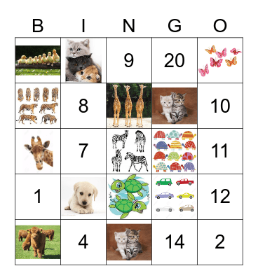 Counting - 20 Bingo Card