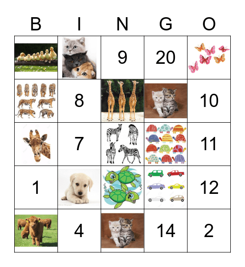 Counting - 20 Bingo Card
