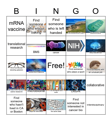 BMS Recruitment 2022 Bingo Card