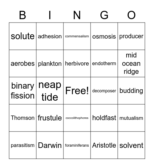 Marine Bio Semester Exam Bingo Card