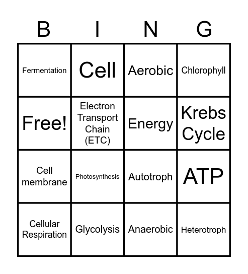 Cell Metabolism Bingo Card