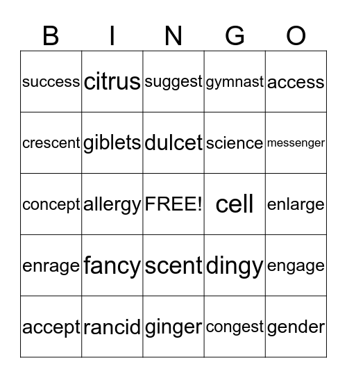The Soft Sounds of "c" and "g" Bingo Card