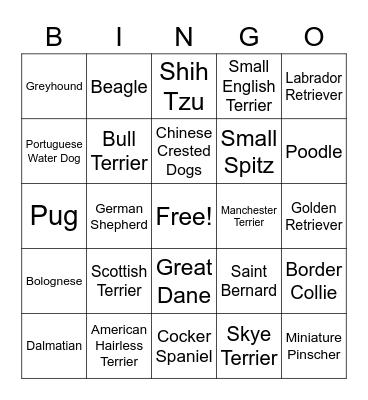 Types of Dogs Bingo Card