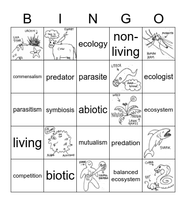 Ecological Interactions Bingo Card