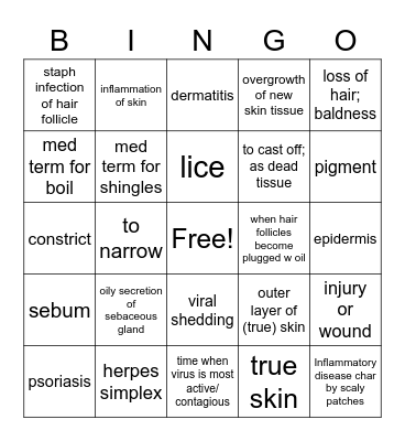Integumentary  System Bingo Card