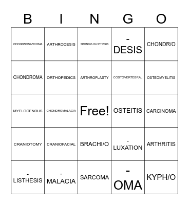 SKELETAL MEDICAL TERMS Bingo Card