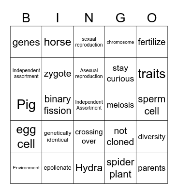 Amoeba Sisters: Asexual vs Sexual Reproduction Bingo Card