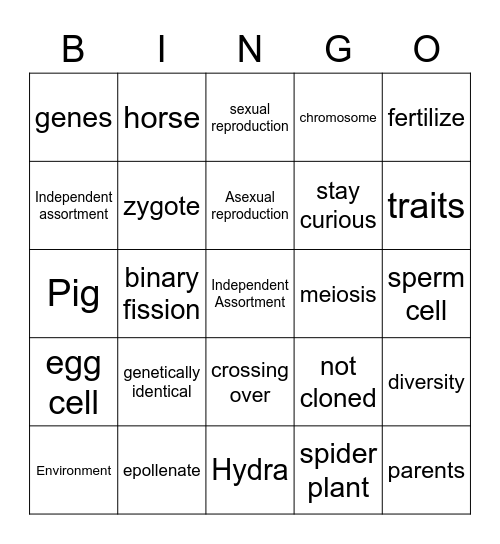 Amoeba Sisters: Asexual vs Sexual Reproduction Bingo Card