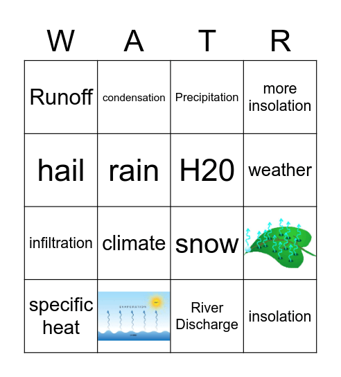 Water Cycle Bingo Card
