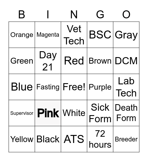 Colored Tag/Card Bingo Card