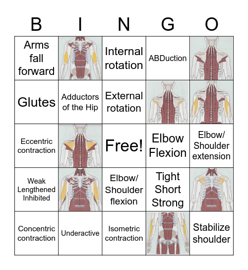 Rotator Cuff and Arm Muscle BINGO Card