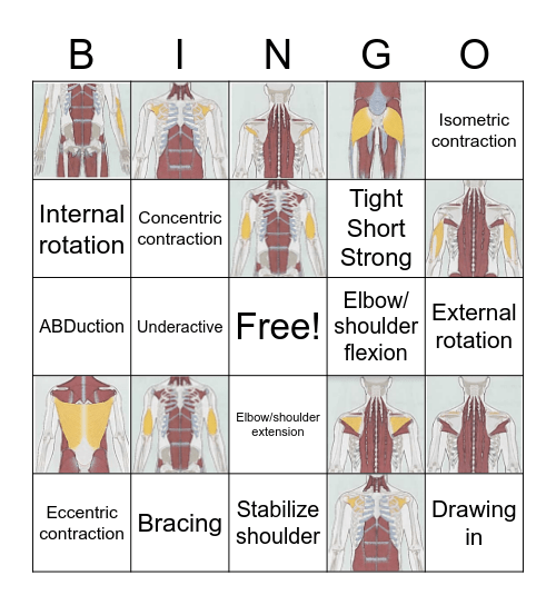 Rotator Cuff and Arm Muscle BINGO Card