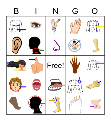 Body Parts Bingo Card