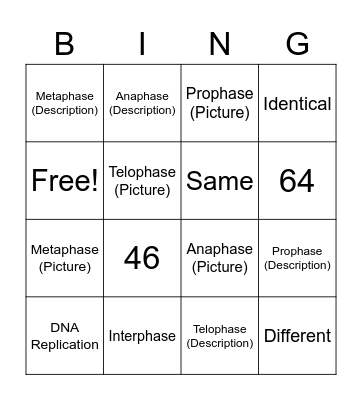 Mitotic Cell Division BING Bingo Card