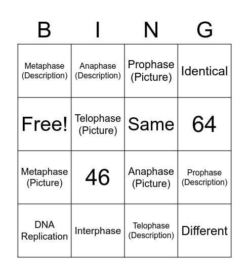 Mitotic Cell Division BING Bingo Card