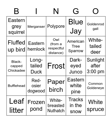 Ontario Winter Bingo Card