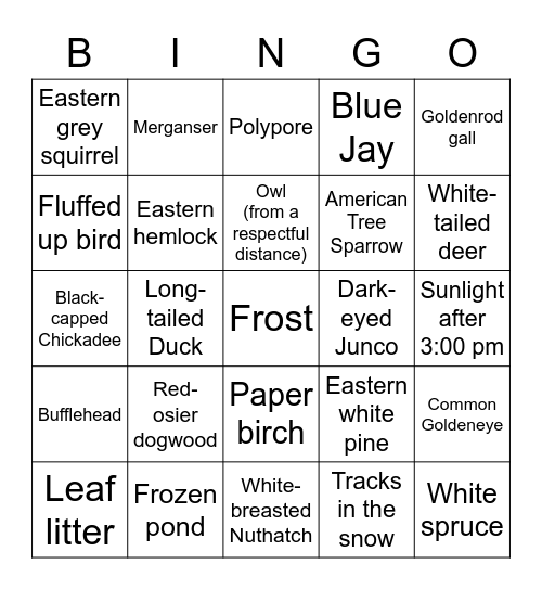 Ontario Winter Bingo Card