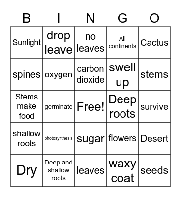 Desert Plant Features Bingo Card