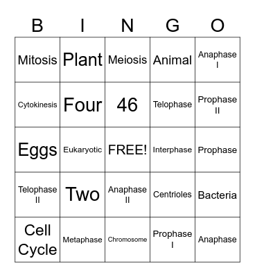 Cell Division Bingo Card