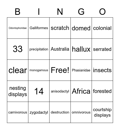 Odontophoridae Bingo Card