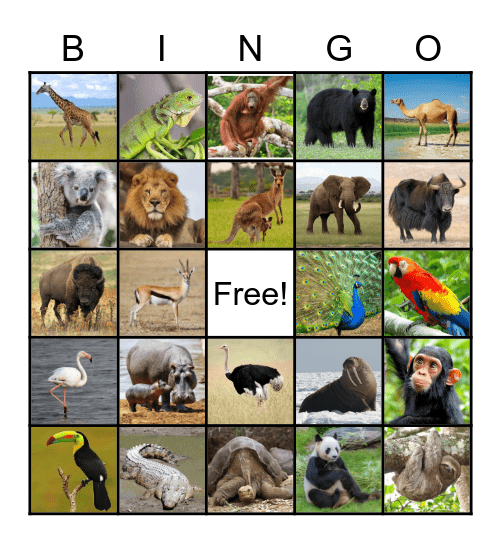 Zoo Animal Bingo Card